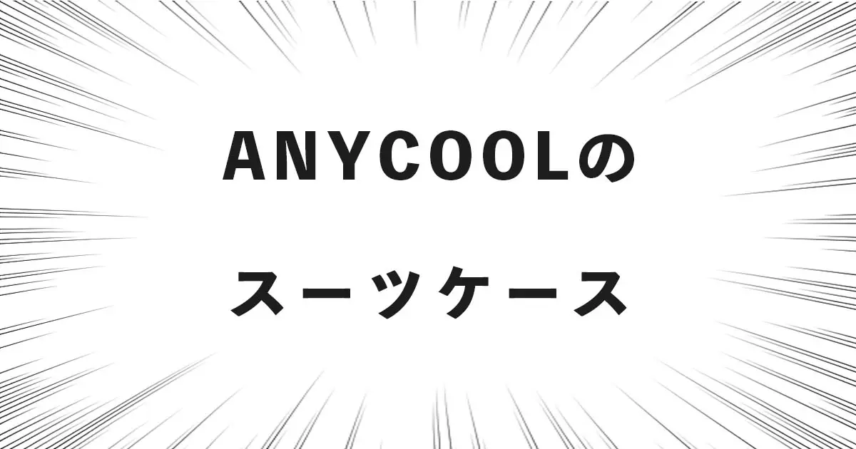 ANYCOOLのスーツケース