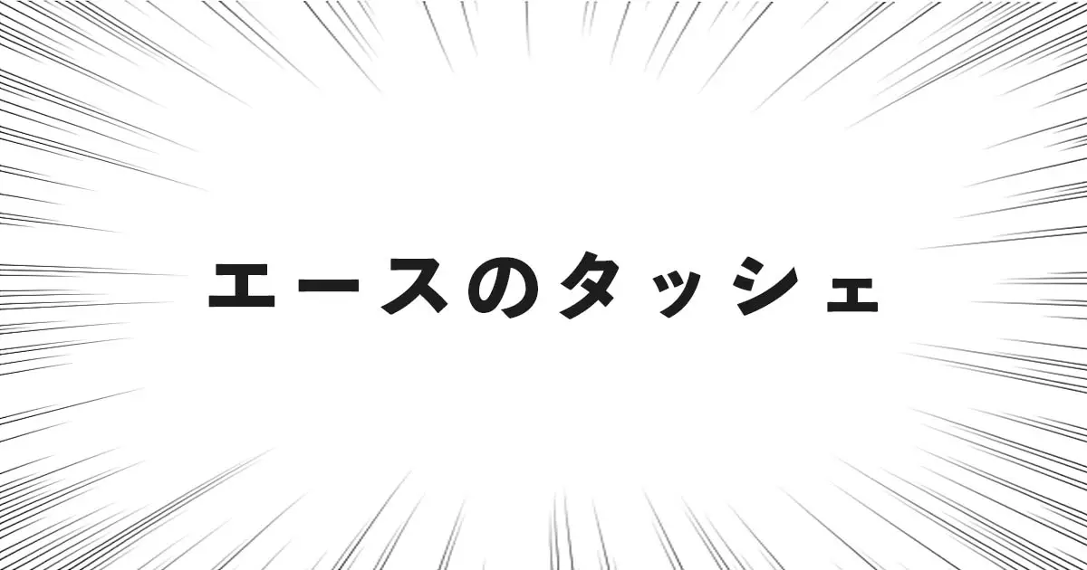 エースのタッシェ