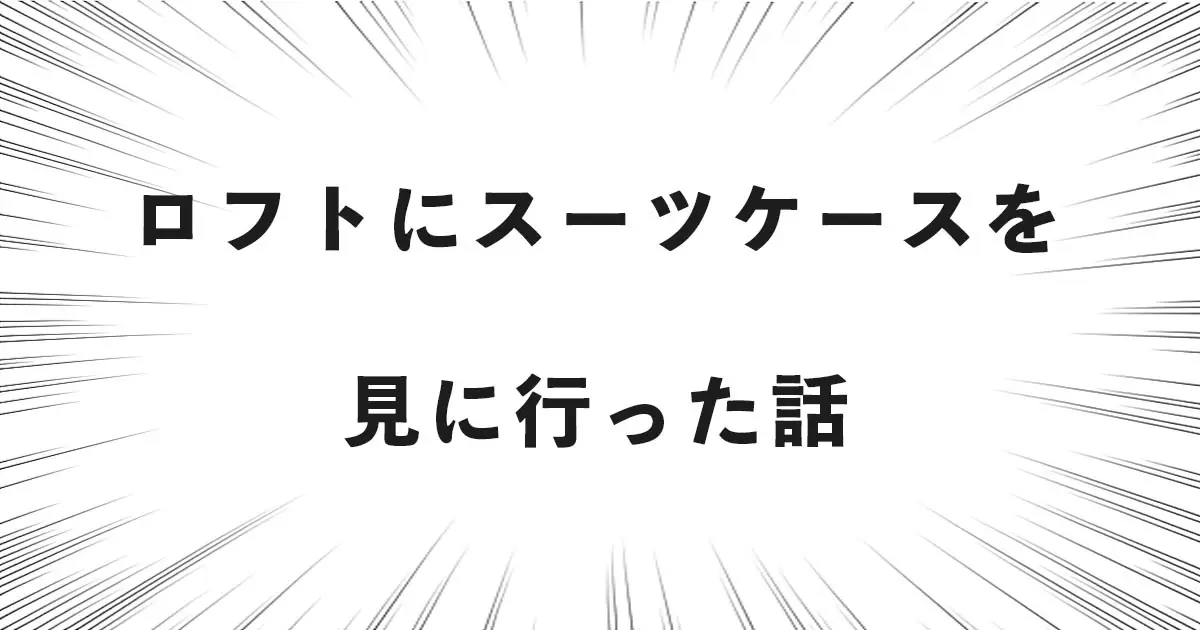 ロフトにスーツケースを見に行った話