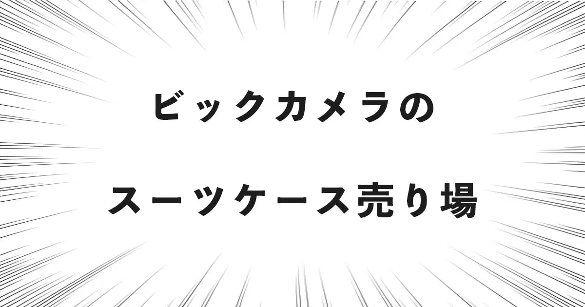 ビックカメラのスーツケース売り場