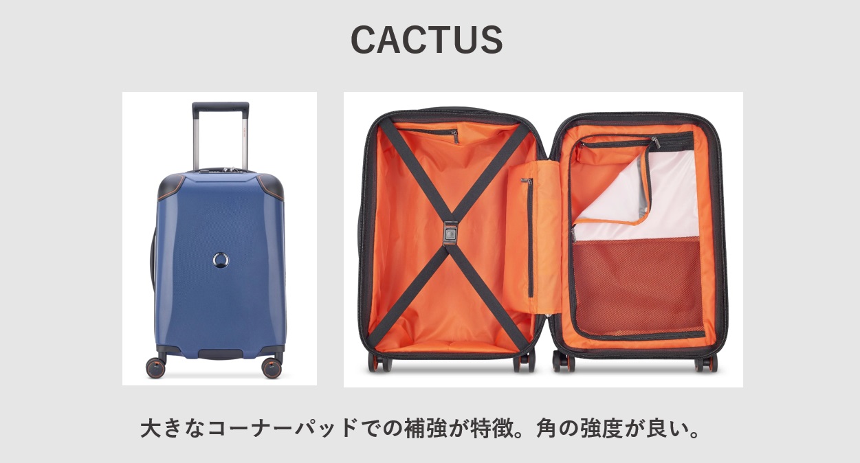 デルセー CACTUS