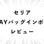 セリア 2WAYバッグインポーチ レビュー