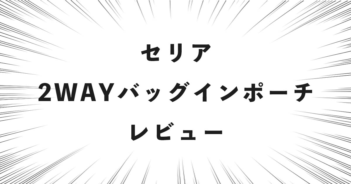 セリア 2WAYバッグインポーチ レビュー