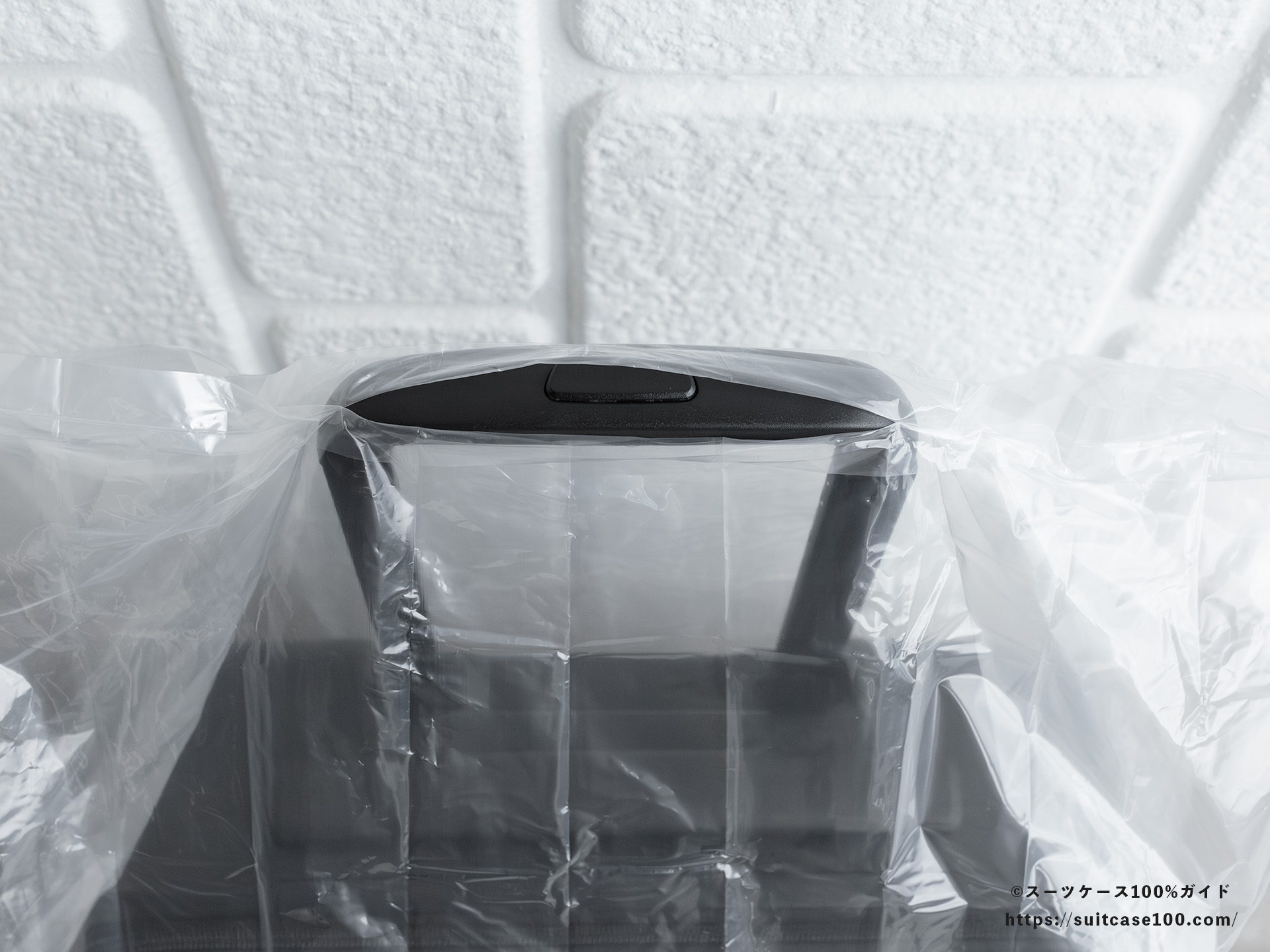 ダイソー レインバッグカバー(キャリーバッグ用) レビュー キャリーハンドルを通す穴はキャリーハンドルよりも小さい