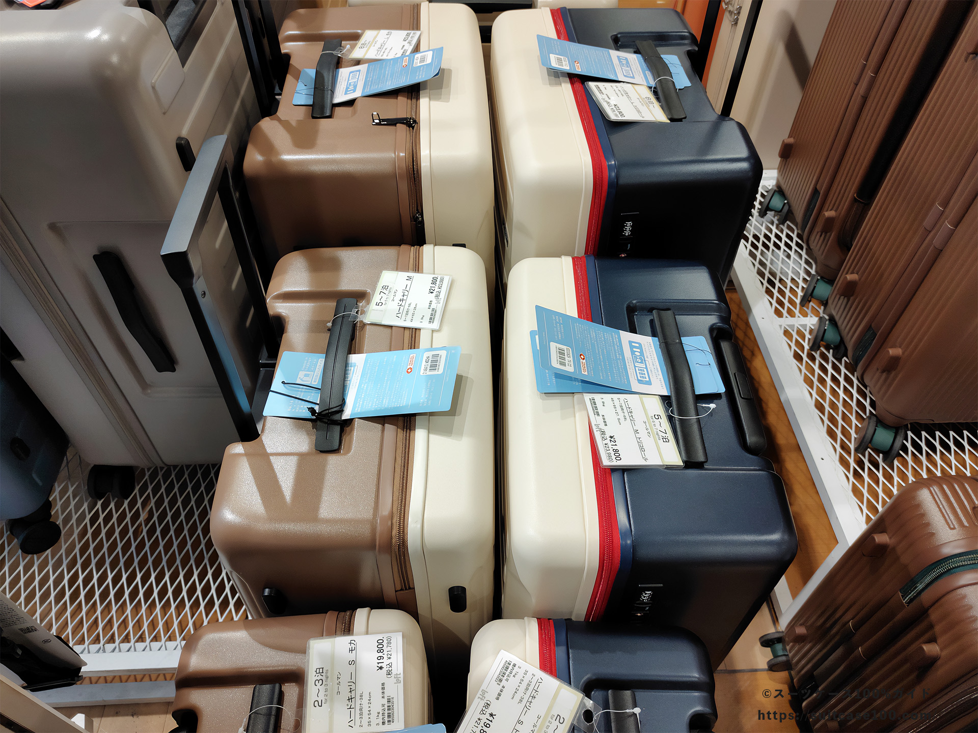 ロフトのスーツケース売り場 新旧のコールマンのスーツケースが混在して売っている様子 比較画像