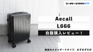 Aecall L666 自腹購入レビュー