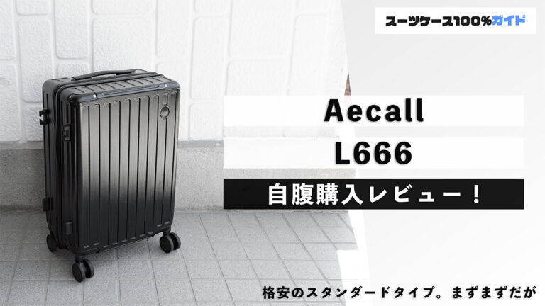 Aecall L666 自腹購入レビュー