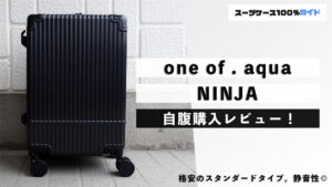 one of . aqua NINJA 自腹購入レビュー