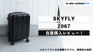 SKYFLY Z067 自腹購入レビュー