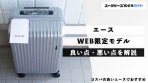 エース WEB限定モデル 良い点・悪い点を解説