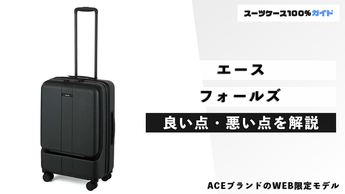 エース フォールズ 良い点・悪い点を解説